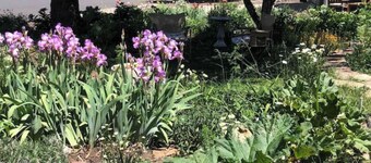 Mountain Paradise - a private guest suite in Flagstaff
