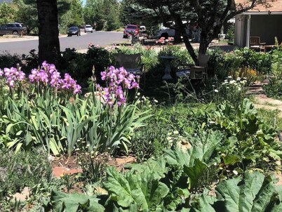 Mountain Paradise - a private guest suite in Flagstaff