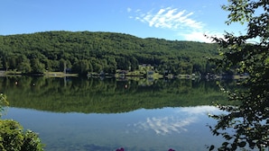 A calm lake with a forested hill in the background and purple flowers in the foreground.