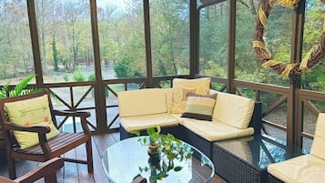 TV connectée, cheminée, lecteur de DVD, livres