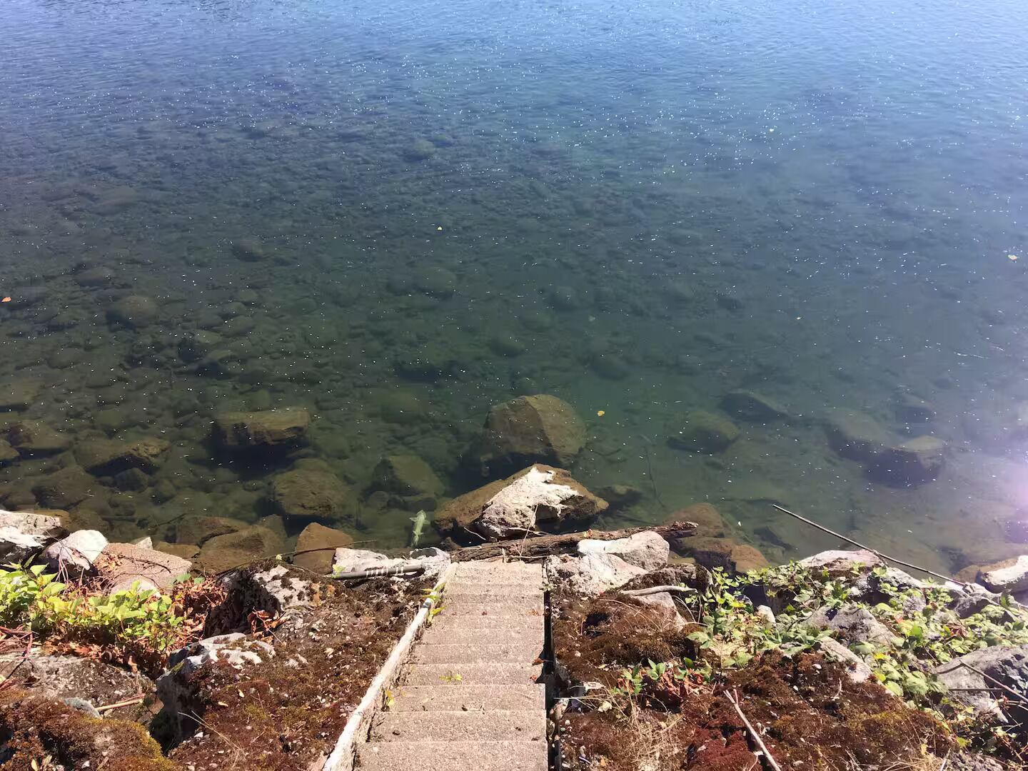 A clear view of a rocky shoreline with a concrete path leading into a body of water.