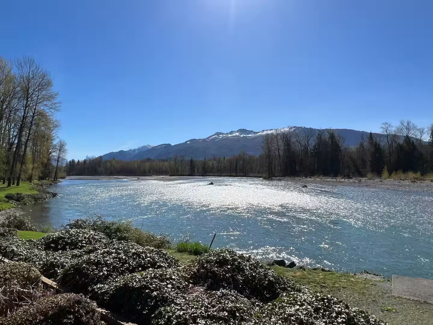 A river with a mountain in the background.