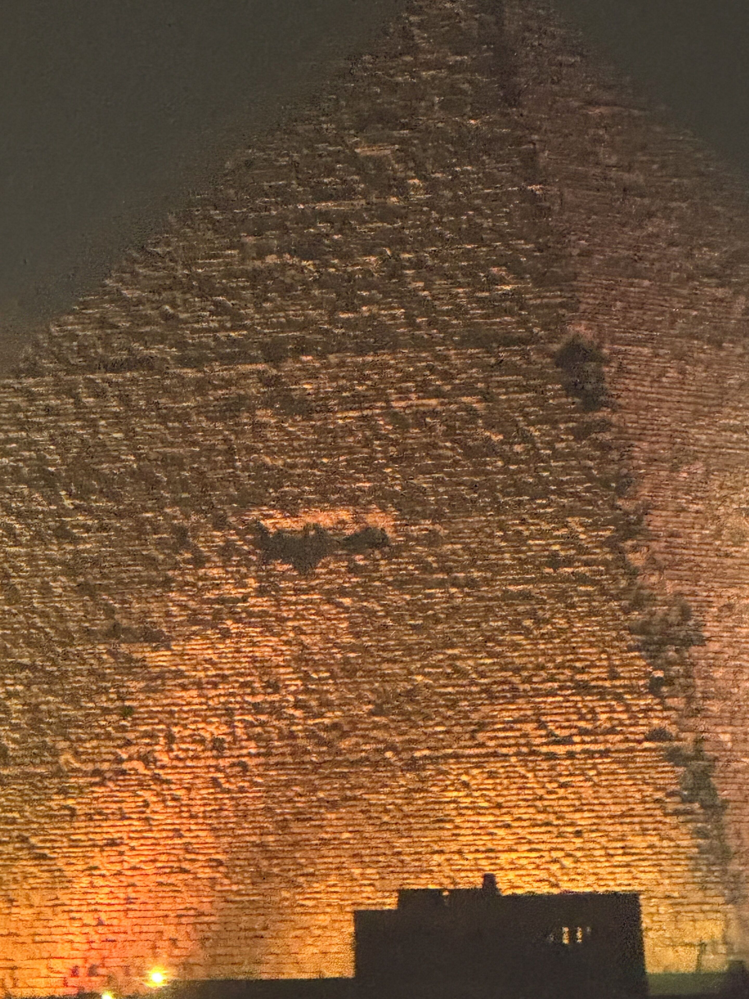 Foto - Pyramids Hotel View