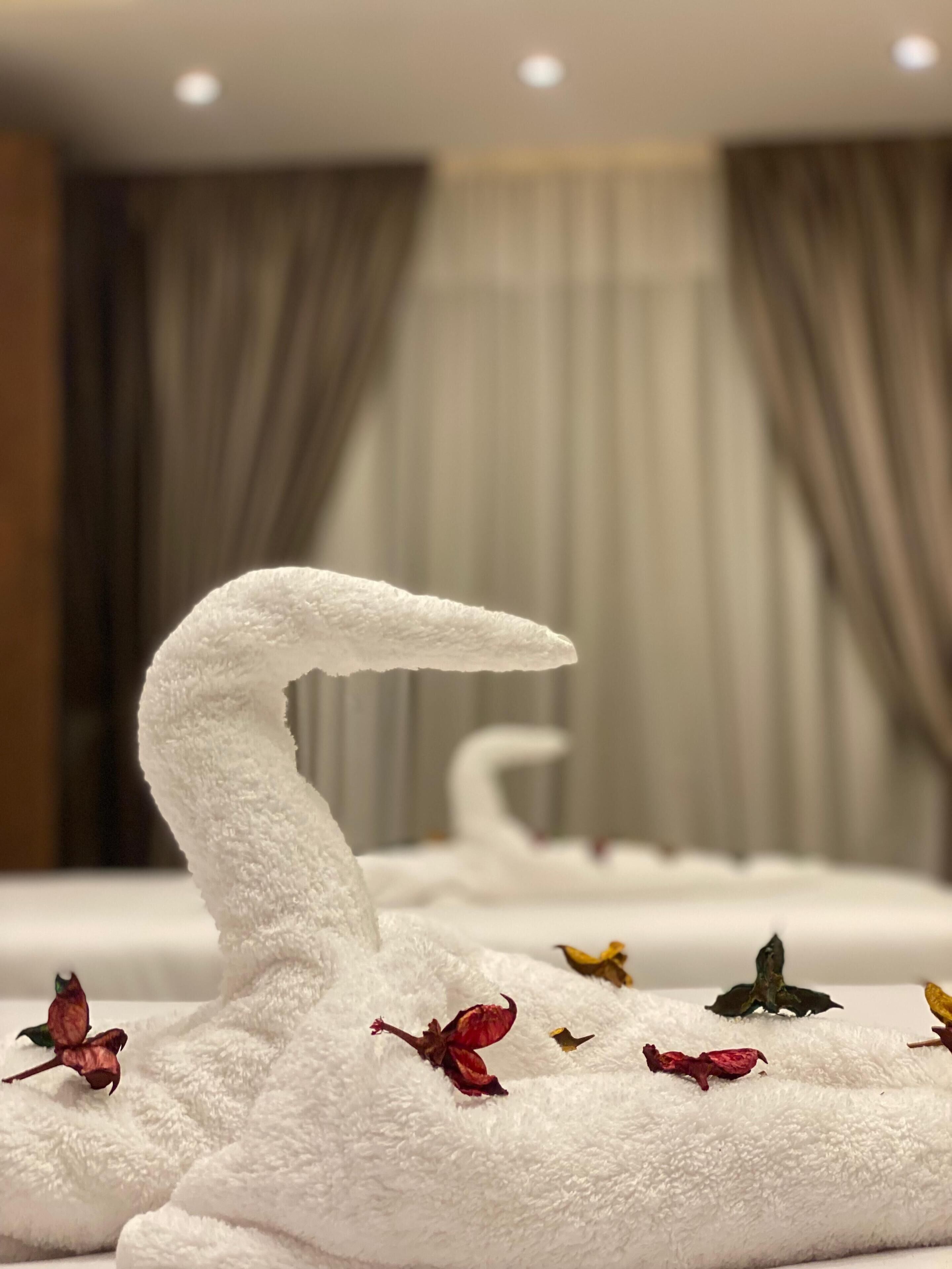 Foto - Pyramids Hotel View