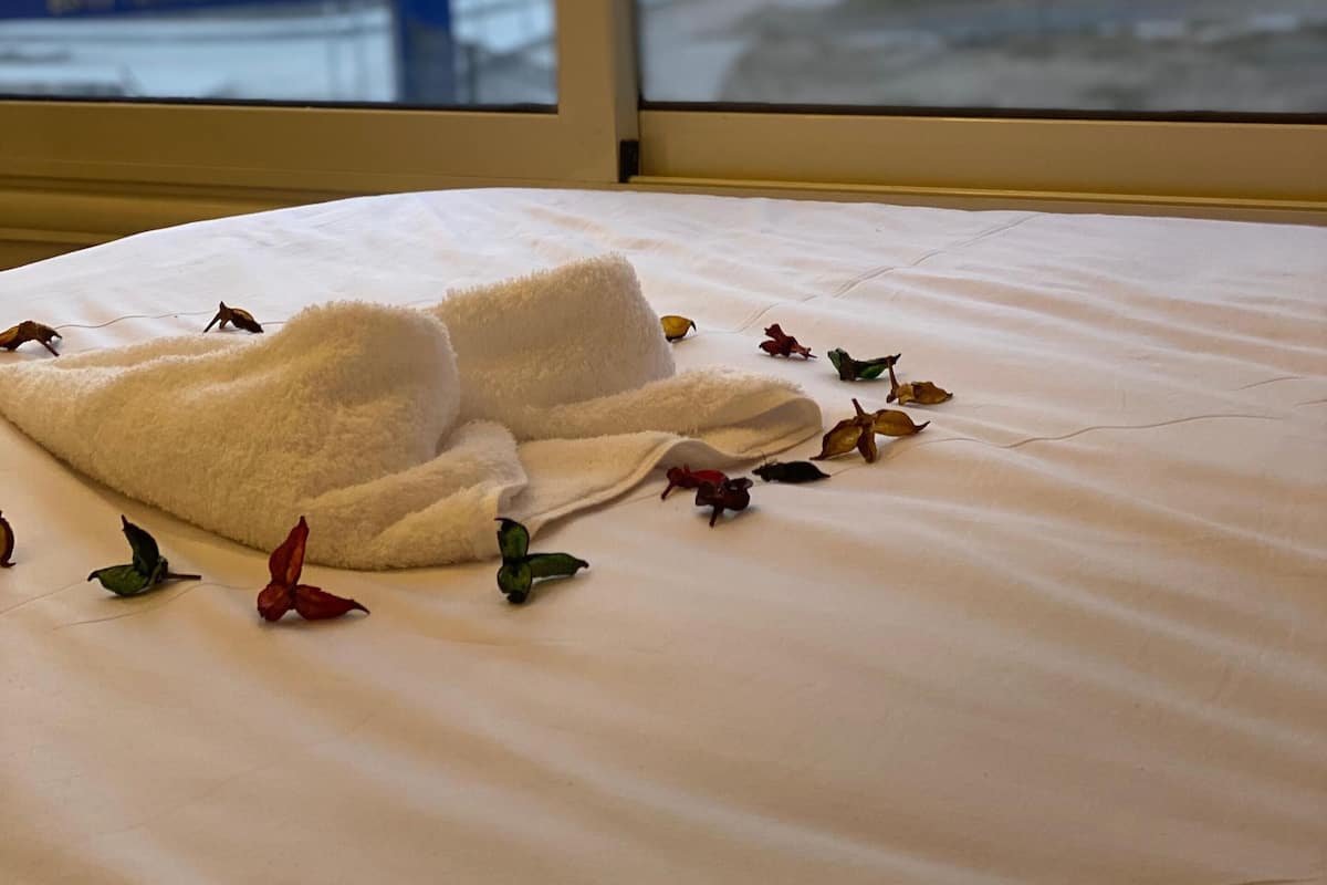 Literie de qualité supérieure, couette en duvet d'oie, surmatelas