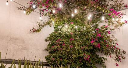 Huge Home for 23, Rare Indoor Garden Near Hotspots