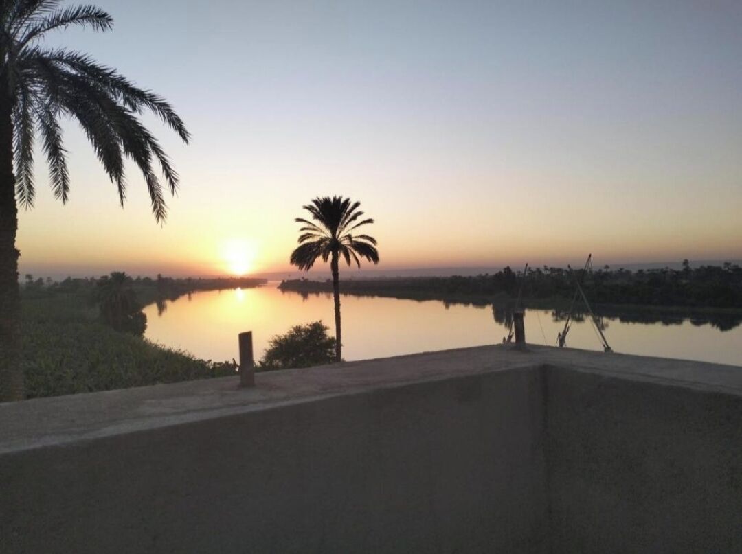 A sunset view from a balcony overlooking a calm body of water, with a palm tree and a concrete barrier in the foreground.