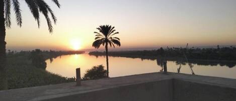 Vista del atardecer desde un balcón con vista a un cuerpo de agua tranquilo, con una palmera y una barandilla de hormigón en primer plano.