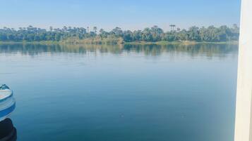 Um lago calmo com céu claro e uma linha de árvores ao longe.