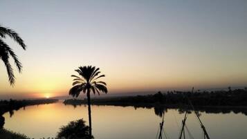 A calm lake at sunset with a single palm tree in the foreground and a distant horizon.