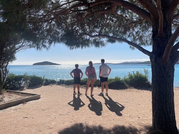 Playa en los alrededores 