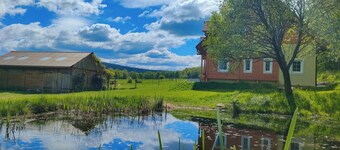 ApaLuza - Ideal for families. Comfort & relaxation in nature. Horses and pool!