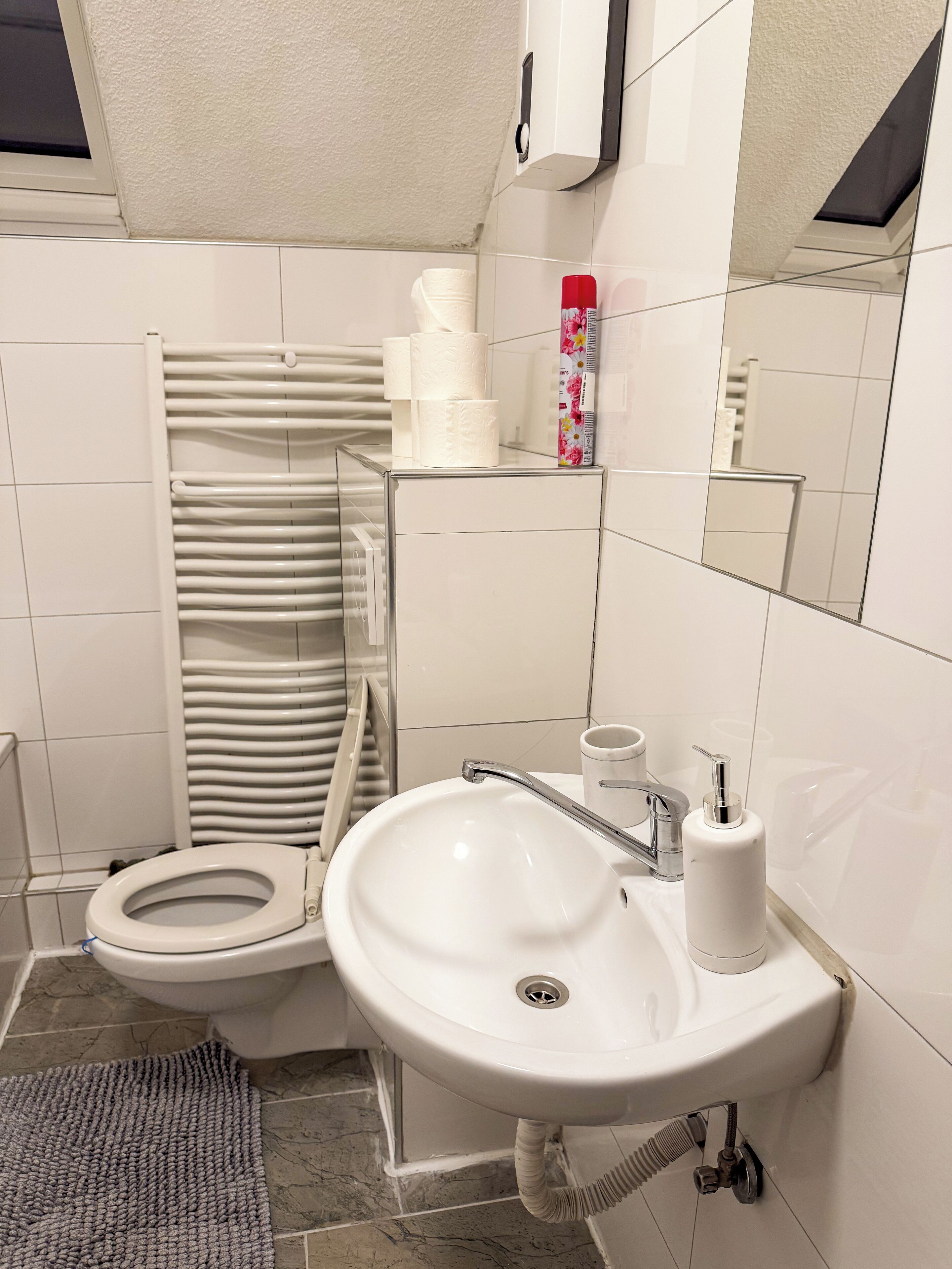 Haartrockner, Handtücher, Seife, Toilettenpapier