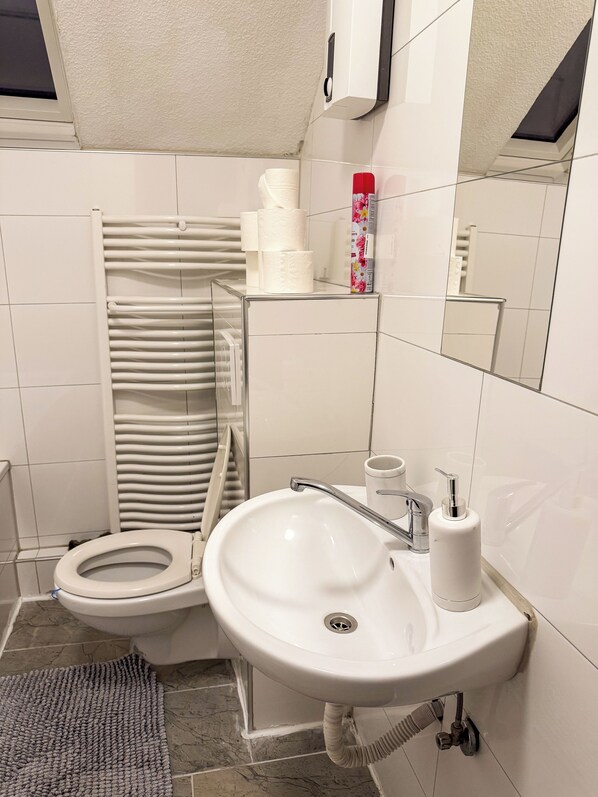 Haartrockner, Handtücher, Seife, Toilettenpapier