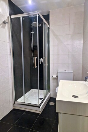 Shower, hair dryer, towels