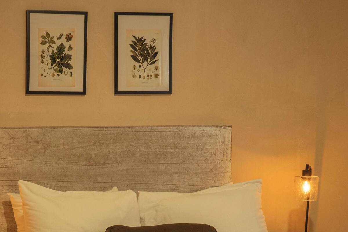 Cama bem arrumada com colcha marrom e almofadas brancas, cabeceira de madeira e dois quadros com gravuras botânicas na parede.