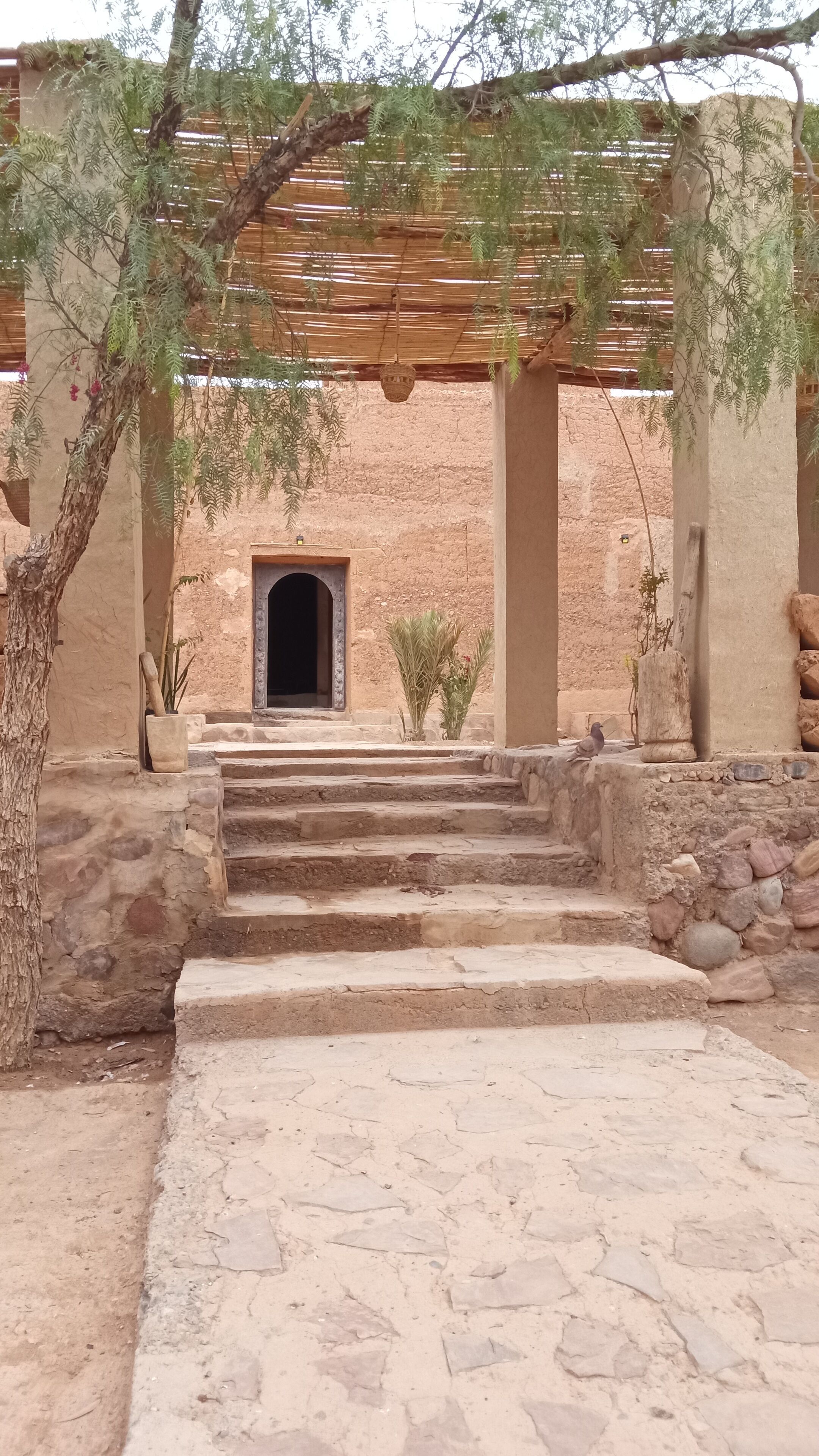 Enceinte de l’hébergement