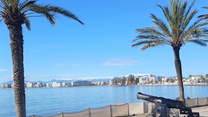 A seaside promenade with palm trees, a cannon, and a calm sea. - Studio 16 mcarré kicnetteet frigo compartiment congelateur micro ondes (Perpignan,)