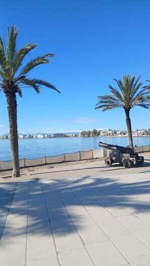 A seaside promenade with palm trees, a cannon, and a calm sea.