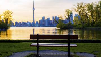 A park bench facing a body of water with a city skyline in the background.