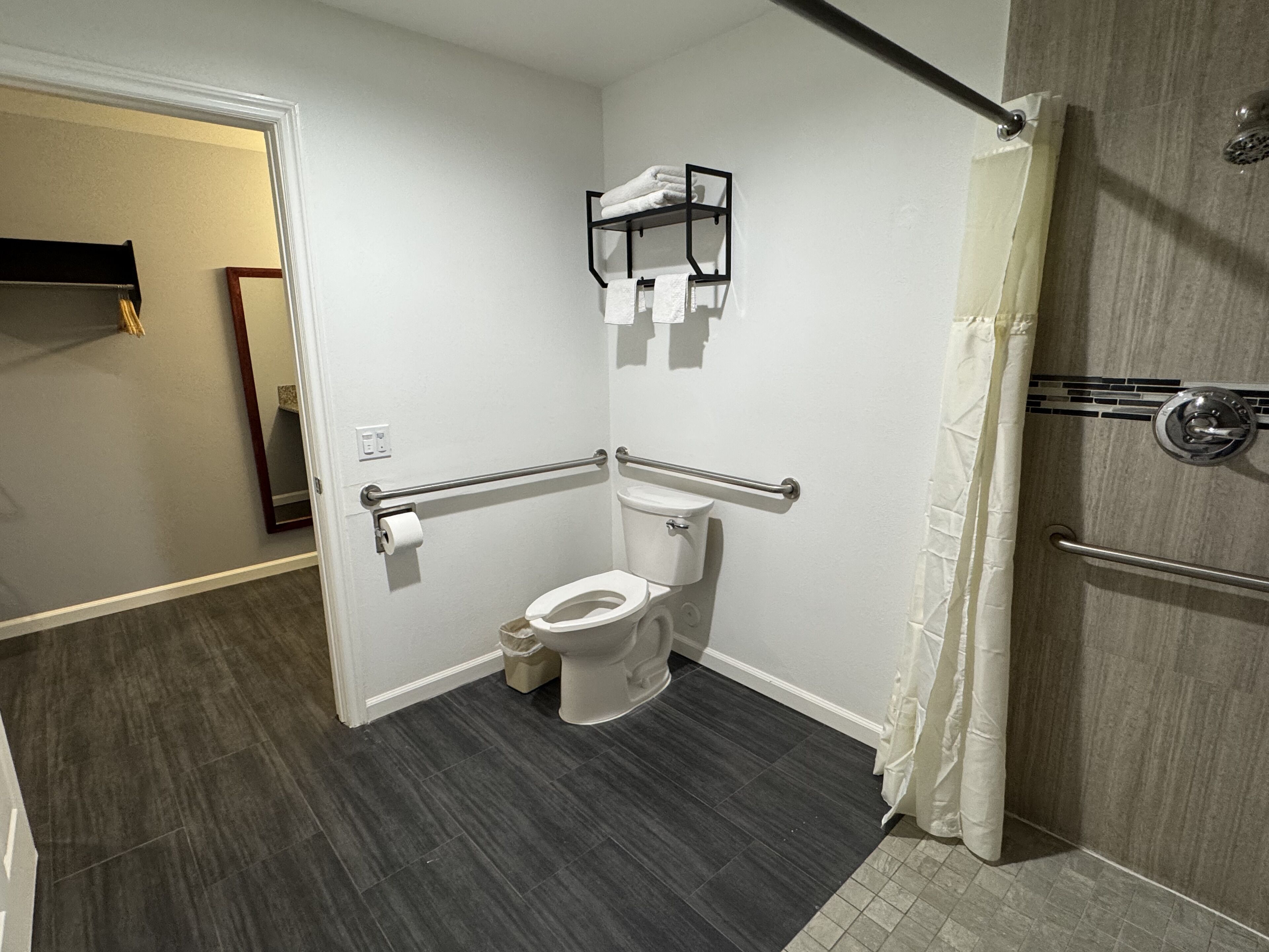Ein modernes Badezimmer mit Toilette, Haltegriffen, einer Duschvorhang und einem Handtuchhalter.