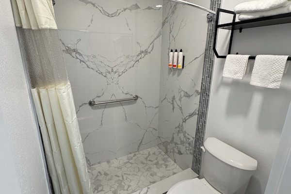 Deluxe Single Room, Non Smoking | Bathroom | Towels, soap, shampoo, toilet paper