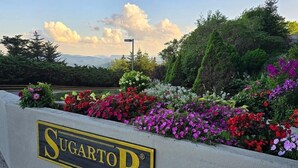A sign for 'Sugartop' with a flower bed in the background. - Charming Sky Blue 2-Bedroom Condo in Sugar Mountain with Resort Amenities (Sugar Mountain)
