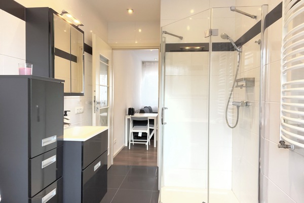 Shower, hair dryer, towels, toilet paper