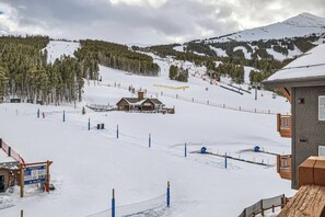 Sneeuw- en skisporten