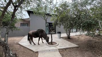 Enceinte de lâhĂ©bergement