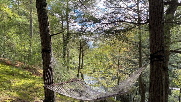 A hammock suspended between trees in a forested area. - Dragon’s Nest on River. Quiet Get-away (Tweed)