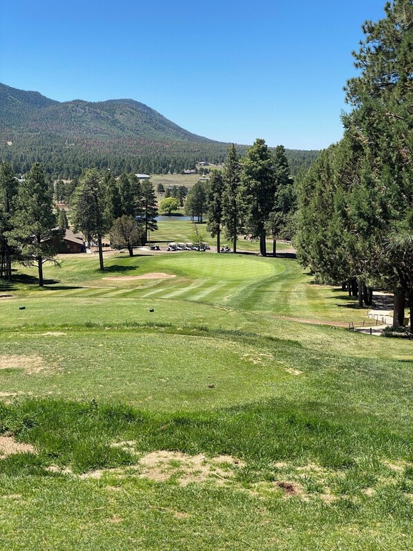 Golf - Grand Canyon-Rt 66-Bearizona- Golf Course-Charming 3bed 2bath house in Williams (Williams)