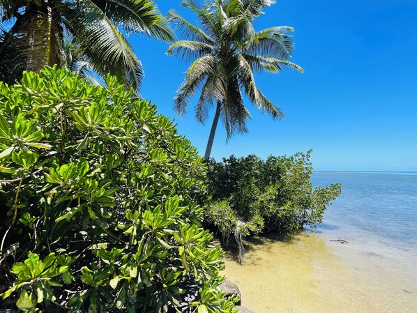 Beach - FARE HIRO BUNGALOW 1 SEASIDE (Moorea-Maiao)