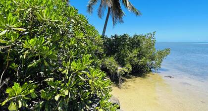 FARE HIRO BUNGALOW 1 BORD DE MER