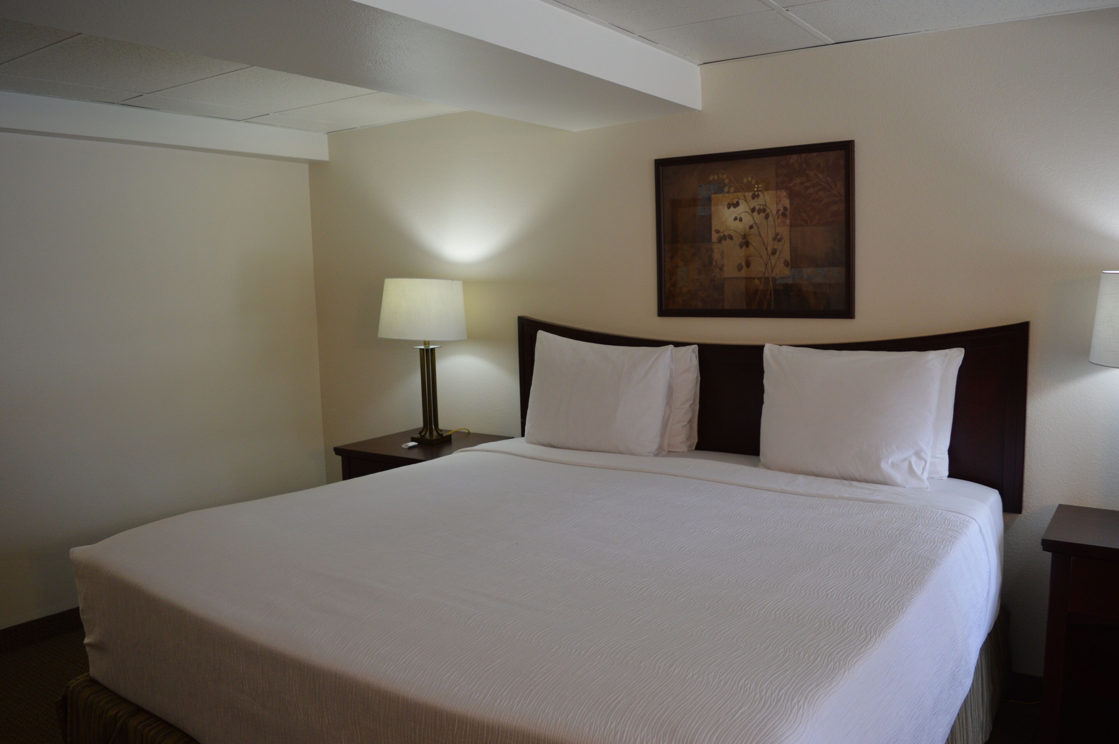 A neatly made bed with white linens, a bedside lamp, and a framed artwork on the wall.