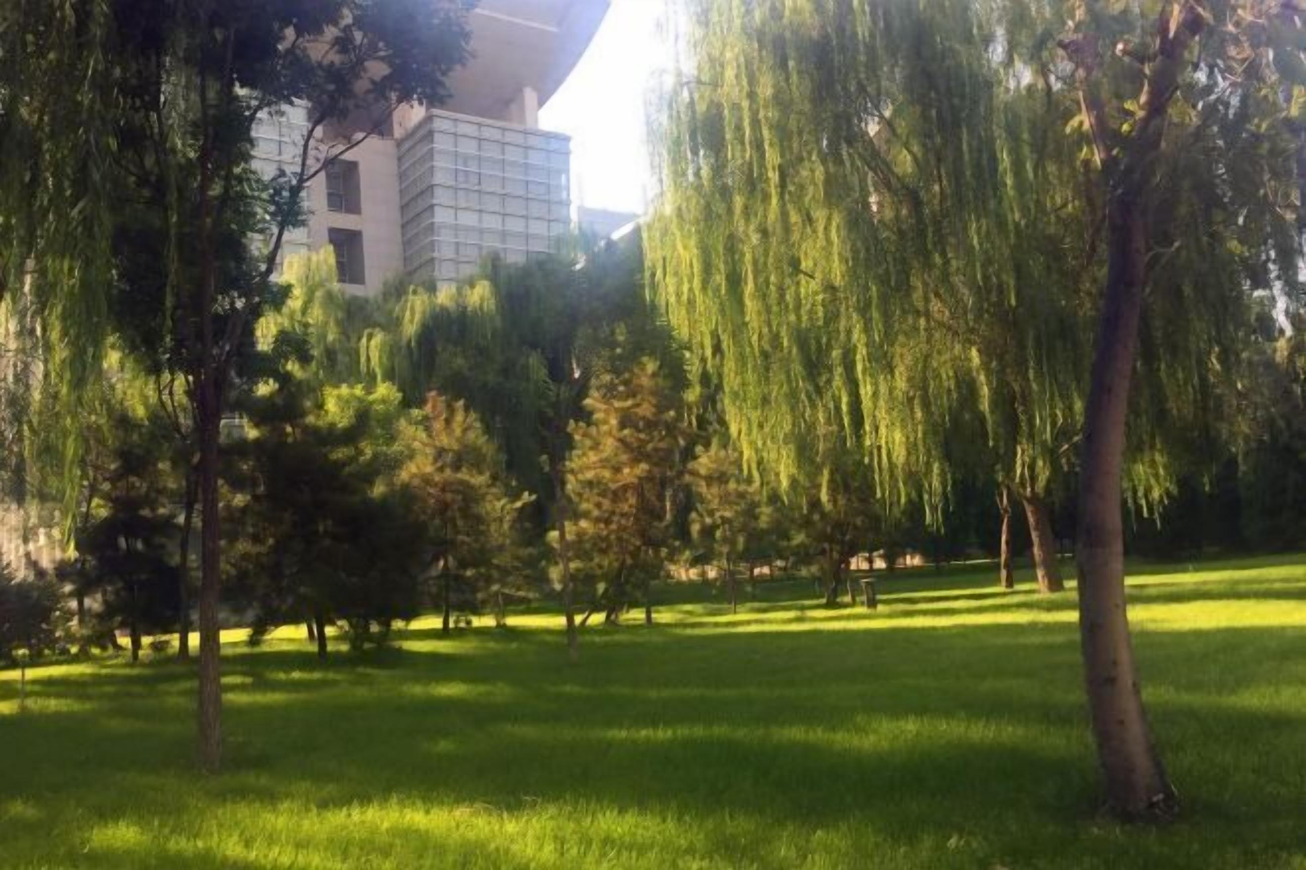 Un área de parque con césped, árboles y un edificio moderno al fondo.