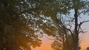 A serene lakeside view at sunset with trees framing the scene. - Torch Lake Farmhouse (Alden)