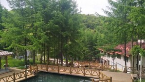 A wooden deck over a reflective pool, surrounded by dense green trees and a building with a red roof in the background.