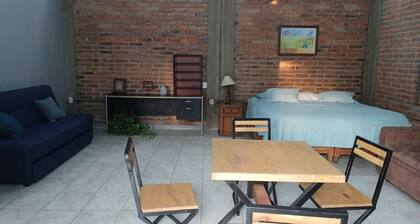 Apartment / loft with garden
