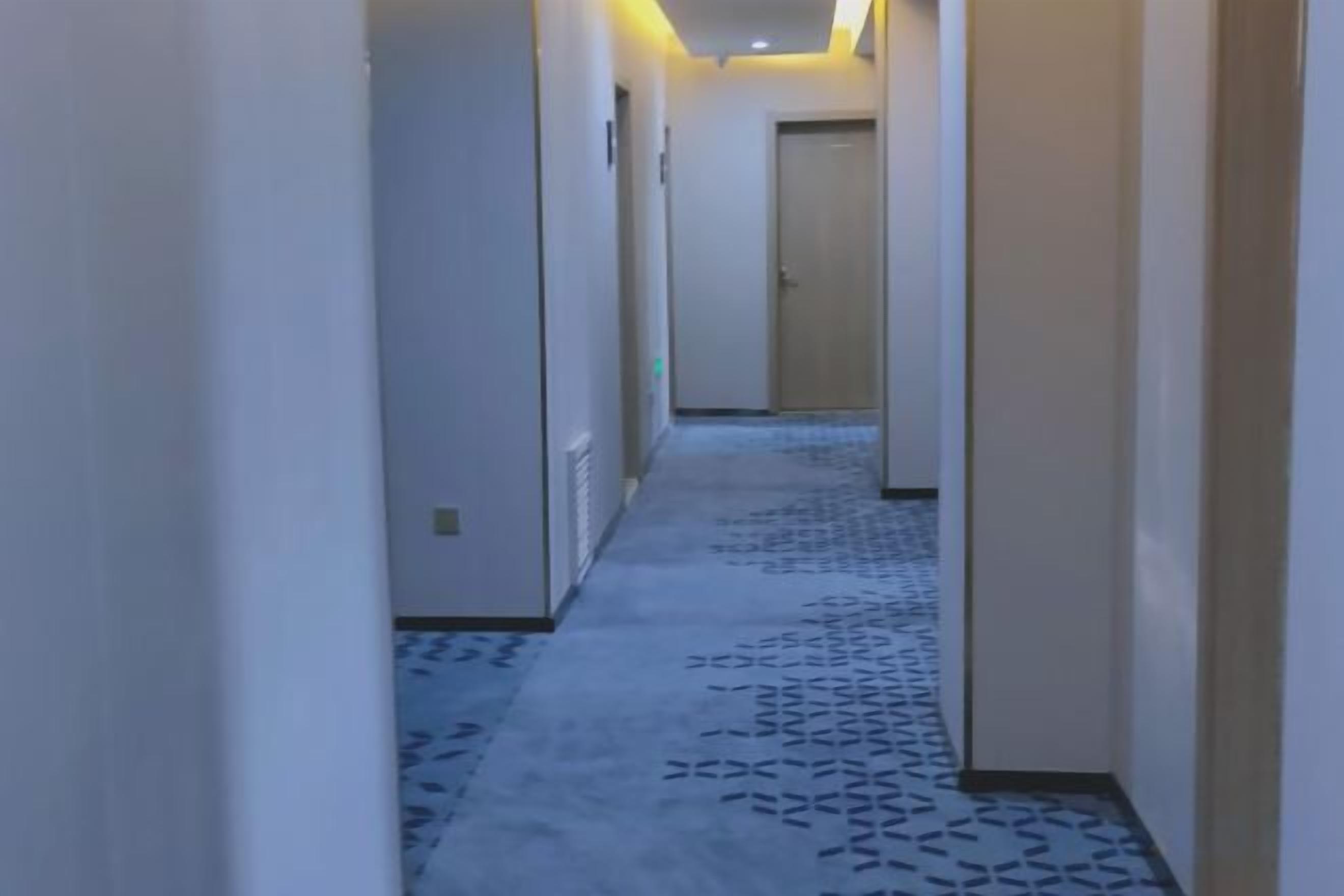 Un pasillo con alfombra estampada, puertas y un candelabro en el techo.