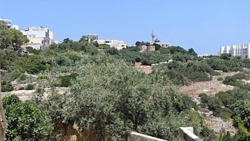 Vista dalla struttura