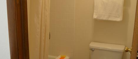 Une salle de bain avec une baignoire, des toilettes et un porte-serviettes.
