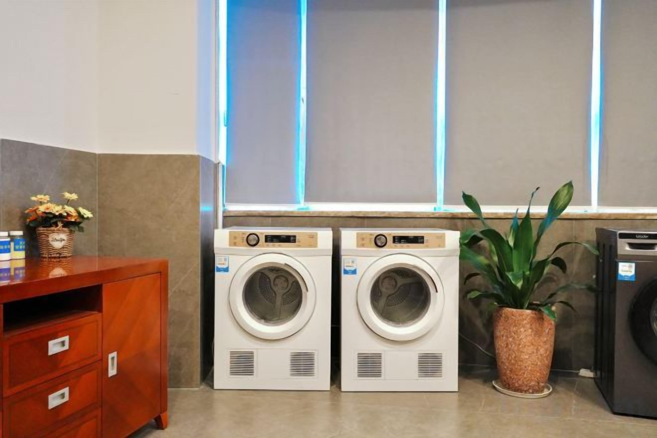 A laundry area with two front-loading washing machines, a wooden cabinet, and a potted plant.