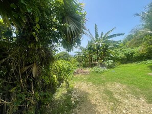 Property grounds - Studio in a garden, close to the sea (Le Gosier)