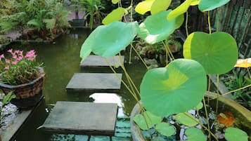 Utsikt mot trädgården