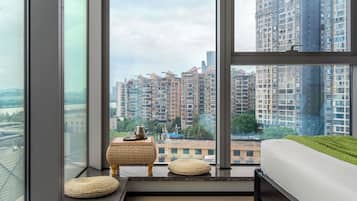 Exclusive Studio Suite, City View | View from room
