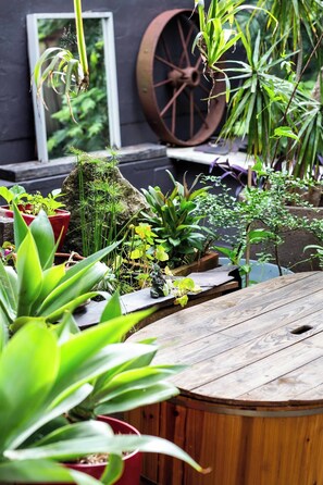 Property grounds - Bright open plan designer home in Annandale - close to Sydney CBD and much more. (Annandale)