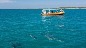 A boat with passengers on a calm sea.