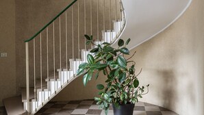 Eine Wendeltreppe mit weißen Geländern und einem Blumentopf am Fuß.