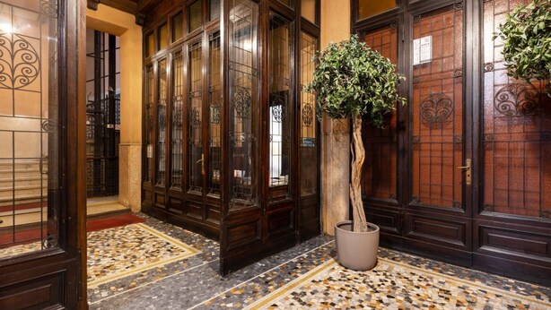 Un pasillo con puertas de madera oscura, suelo de baldosas y una planta en maceta.